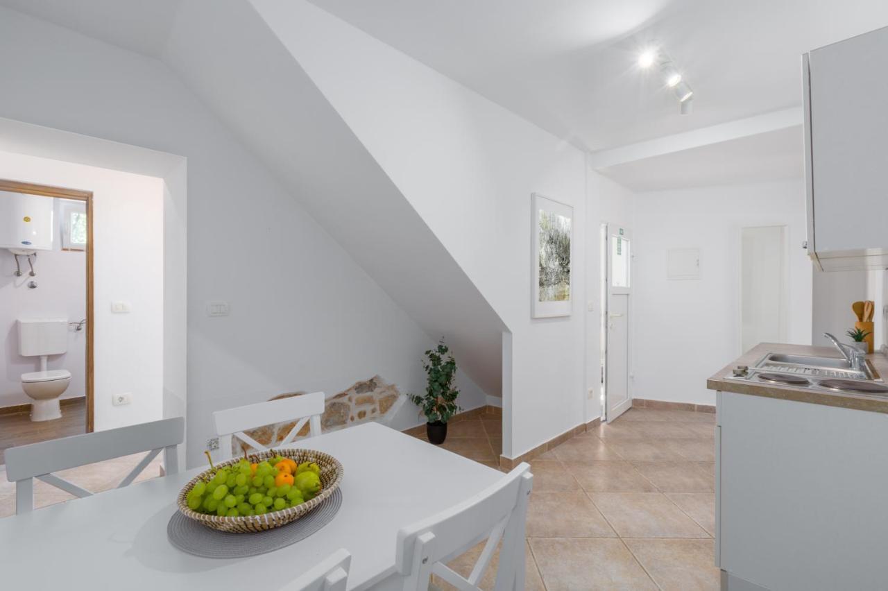 Apartments Agata Novigrad Istria 외부 사진